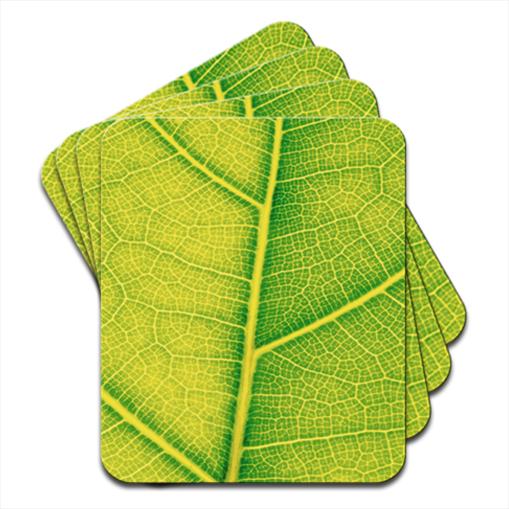 Luscious Green Leaves Hardwood Coasters / Placemats eBay